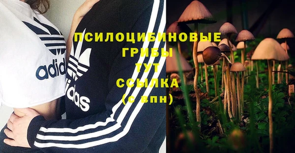 марки lsd Ладушкин