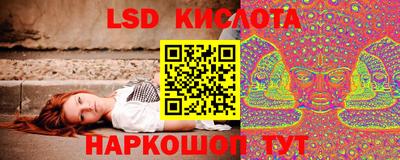 прущие грибы Краснознаменск