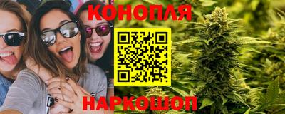 прущие грибы Краснознаменск