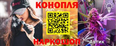 сатива Краснокаменск