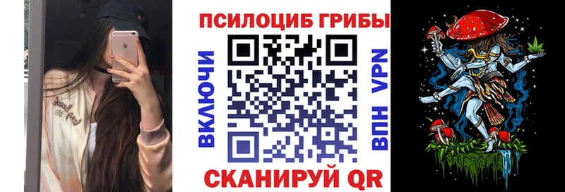 Псилоцибиновые грибы Cubensis Юрга