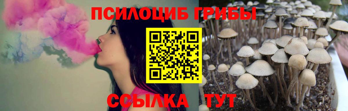 Юрга  Псилоцибиновые грибы Magic Shrooms  Вход с VPN 